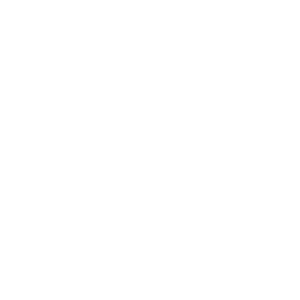 VIP Spins 500x500_white